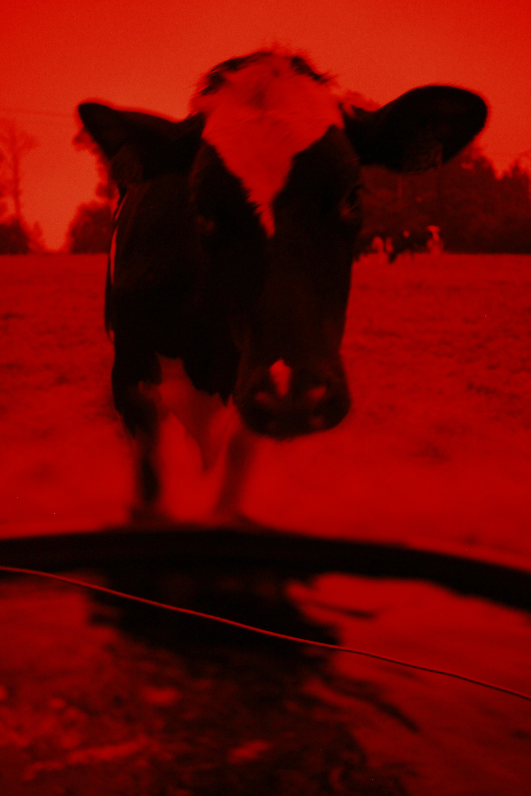 tumblr_d2f5d7c245d3eeca440a5bdfb0b9c7e1_e90d30ad_2048.jpg
